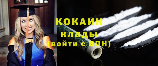 молекула духа Заречный