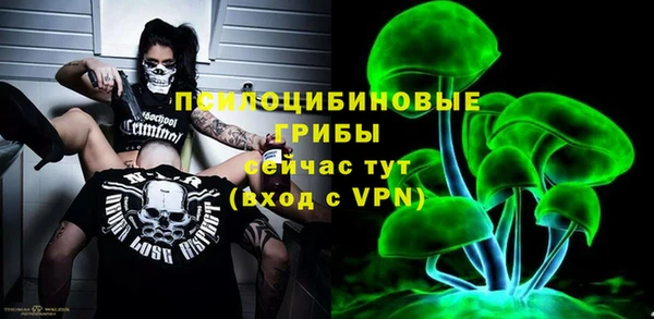 не бодяженный Алзамай